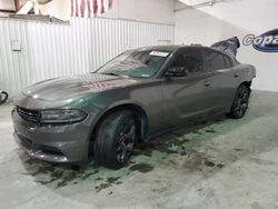 Dodge Charger sxt salvage cars for sale: 2020 Dodge Charger SXT