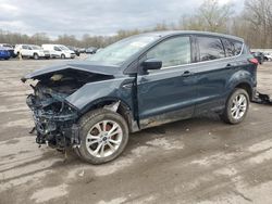 Salvage cars for sale at Ellwood City, PA auction: 2019 Ford Escape SE