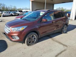 Salvage cars for sale at Fort Wayne, IN auction: 2018 Ford Escape SE