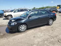 Salvage cars for sale at Indianapolis, IN auction: 2009 Toyota Corolla Base