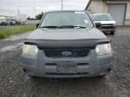 2004 Ford Escape XLS