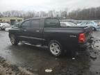 2010 Dodge Dakota SXT