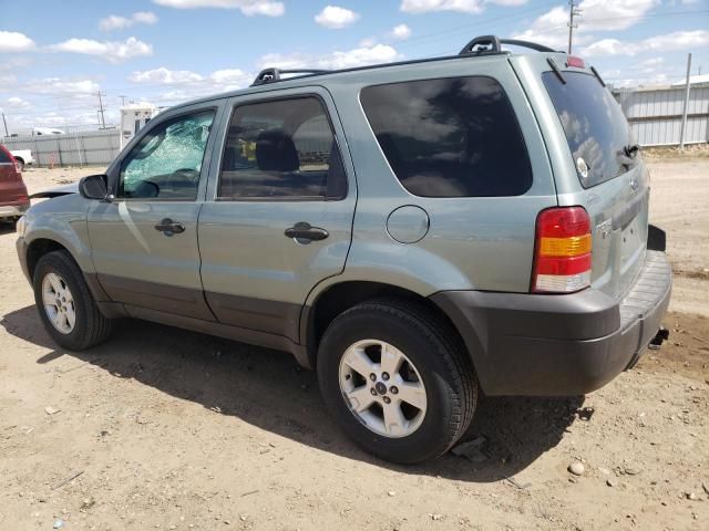 2006 Ford Escape XLT