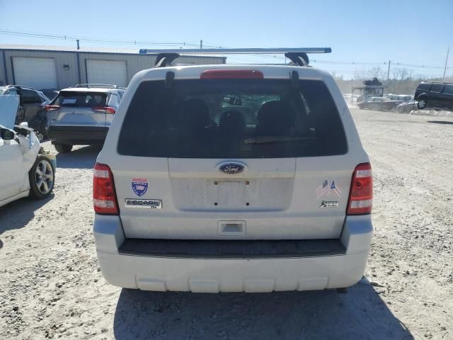 2010 Ford Escape XLT