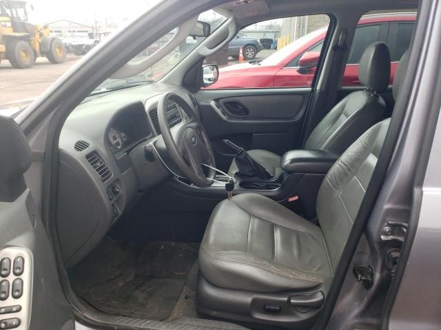 2007 Ford Escape XLT