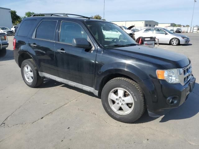 2009 Ford Escape XLT