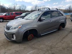 Salvage cars for sale at Marlboro, NY auction: 2015 KIA Sorento SX