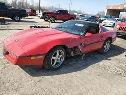 Salvage cars for sale from Copart Fort Wayne, IN: 1984 Chevrolet Corvette