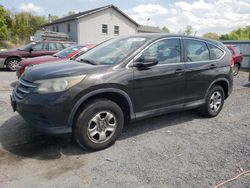 Salvage cars for sale at York Haven, PA auction: 2014 Honda CR-V LX
