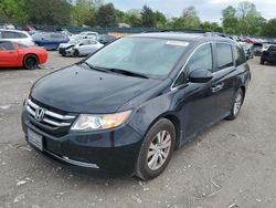 Salvage cars for sale at Madisonville, TN auction: 2014 Honda Odyssey EX