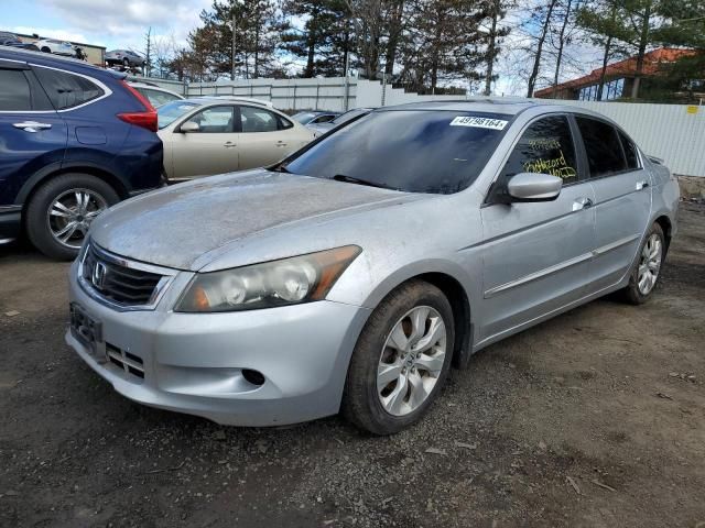 2008 Honda Accord EXL