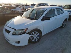 Salvage cars for sale at Tucson, AZ auction: 2009 Toyota Corolla Base