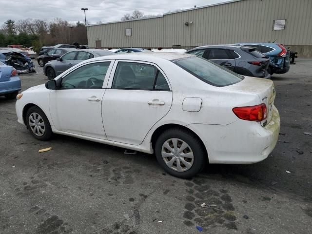 2009 Toyota Corolla Base