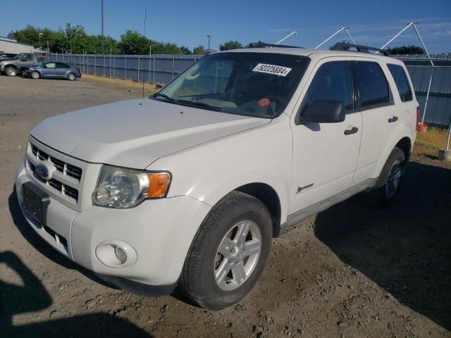 2009 Ford Escape Hybrid