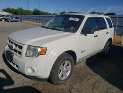 Hybrid Vehicles for sale at auction: 2009 Ford Escape Hybrid