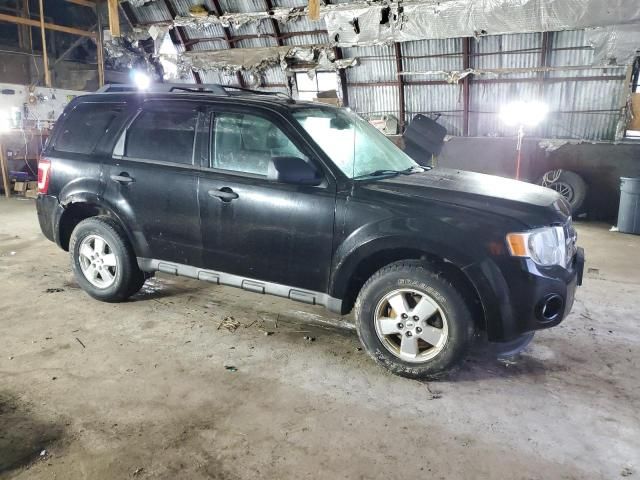 2009 Ford Escape XLT