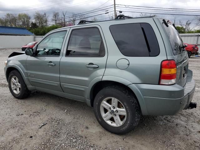 2006 Ford Escape HEV