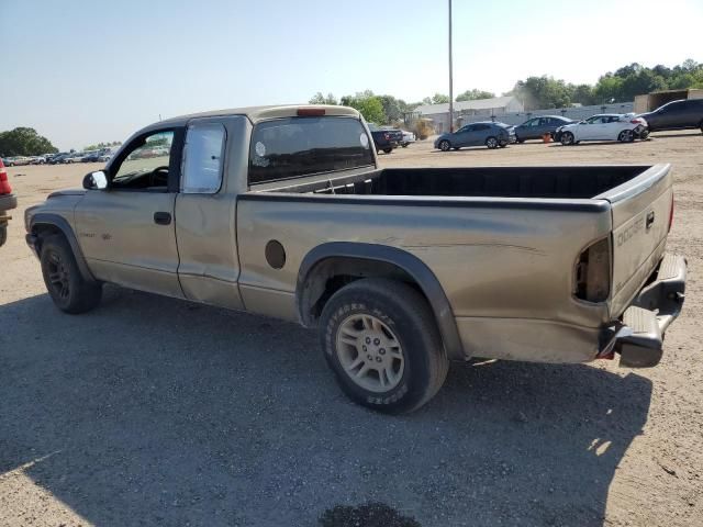 2002 Dodge Dakota Base