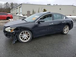 Nissan salvage cars for sale: 2013 Nissan Maxima S