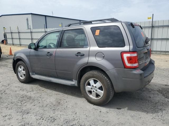 2009 Ford Escape XLT