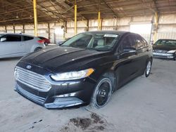 Salvage cars for sale at Phoenix, AZ auction: 2013 Ford Fusion SE