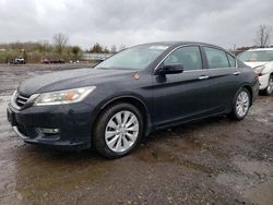 Salvage cars for sale from Copart Columbia Station, OH: 2013 Honda Accord Touring