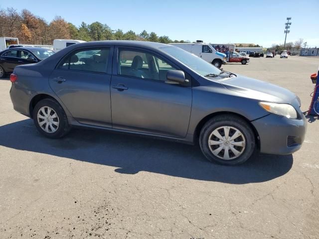 2010 Toyota Corolla Base