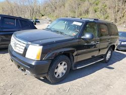 Cadillac Vehiculos salvage en venta: 2003 Cadillac Escalade Luxury