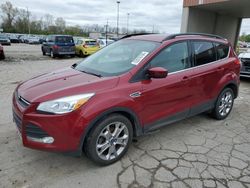 Salvage cars for sale at Fort Wayne, IN auction: 2016 Ford Escape SE