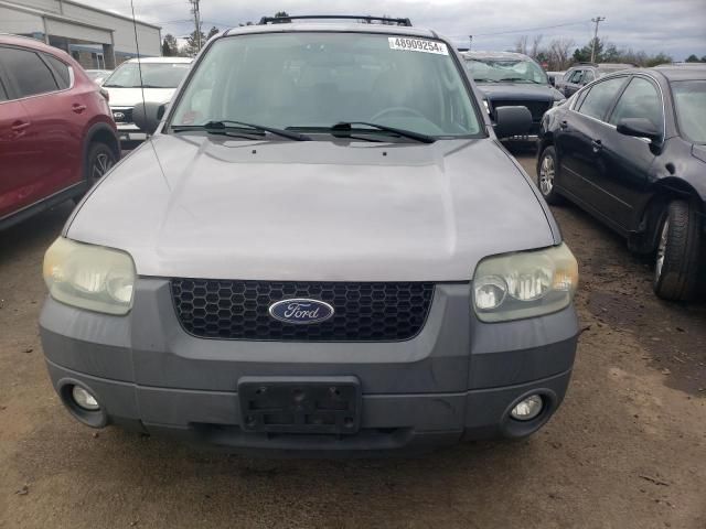 2007 Ford Escape XLT