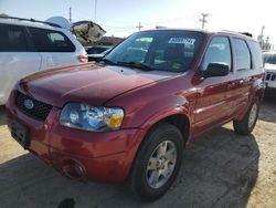 Ford Escape Limited salvage cars for sale: 2006 Ford Escape Limited