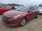 2016 Hyundai Sonata ECO