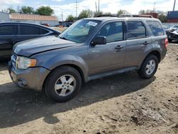 Salvage cars for sale from Copart Columbus, OH: 2010 Ford Escape XLT