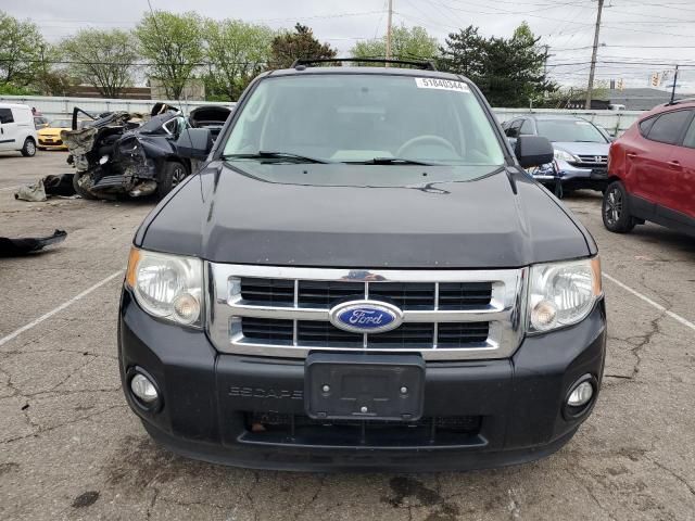 2011 Ford Escape XLT