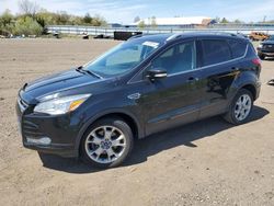 Salvage cars for sale from Copart Columbia Station, OH: 2014 Ford Escape Titanium