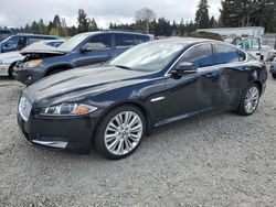 Jaguar XF salvage cars for sale: 2013 Jaguar XF