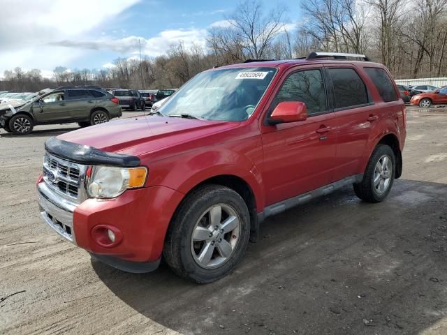 2010 Ford Escape Limited