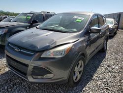 Salvage cars for sale at Madisonville, TN auction: 2013 Ford Escape SE