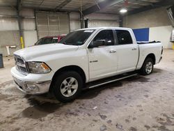 Salvage cars for sale at Chalfont, PA auction: 2010 Dodge RAM 1500