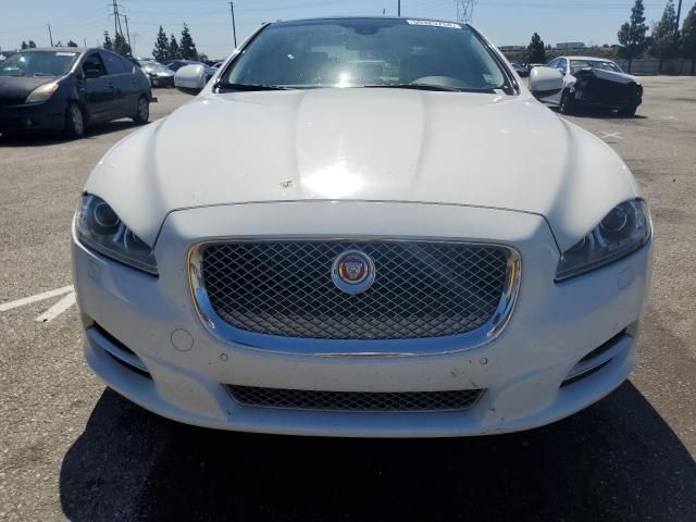 2014 Jaguar XJ