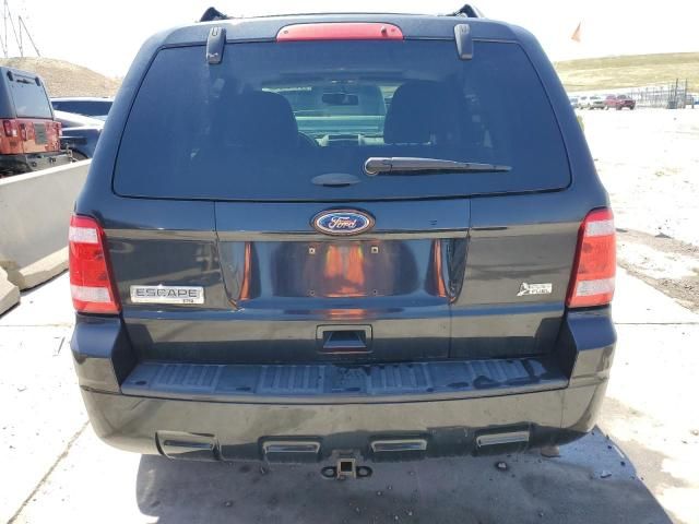 2011 Ford Escape XLT