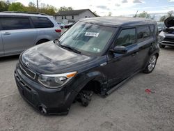 Salvage cars for sale from Copart York Haven, PA: 2016 KIA Soul +