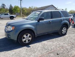 Ford salvage cars for sale: 2011 Ford Escape XLT