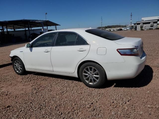 2011 Toyota Camry Hybrid