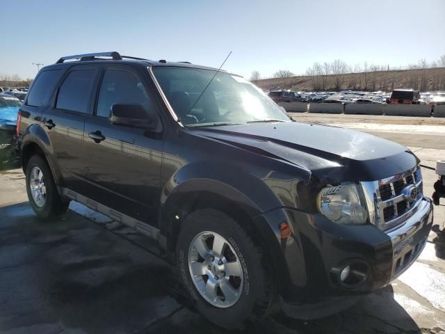 2012 Ford Escape Limited