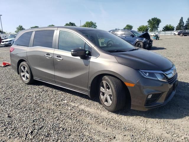 2019 Honda Odyssey EXL