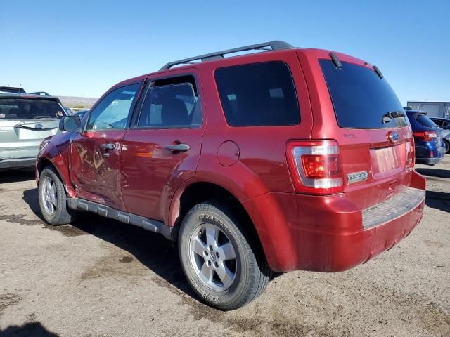 2012 Ford Escape XLT