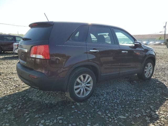 2011 KIA Sorento EX