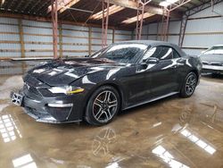 Ford salvage cars for sale: 2019 Ford Mustang