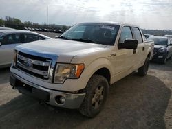 Salvage trucks for sale at Cahokia Heights, IL auction: 2013 Ford F150 Supercrew